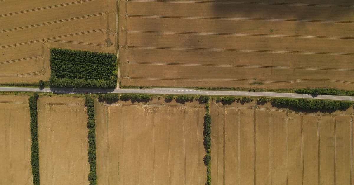 Aerial view of open country and an access road